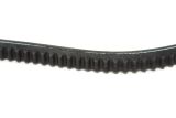CORREIA - BOBCAT - 6713382