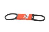 CORREIA - BOBCAT - 6715478