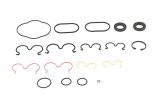 KIT ANEIS BORRACHA VULCANIZADA - BOBCAT - 6924988