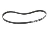 CORREIA DE TRANSMISSAO BORRACHA - BOBCAT - 7261348